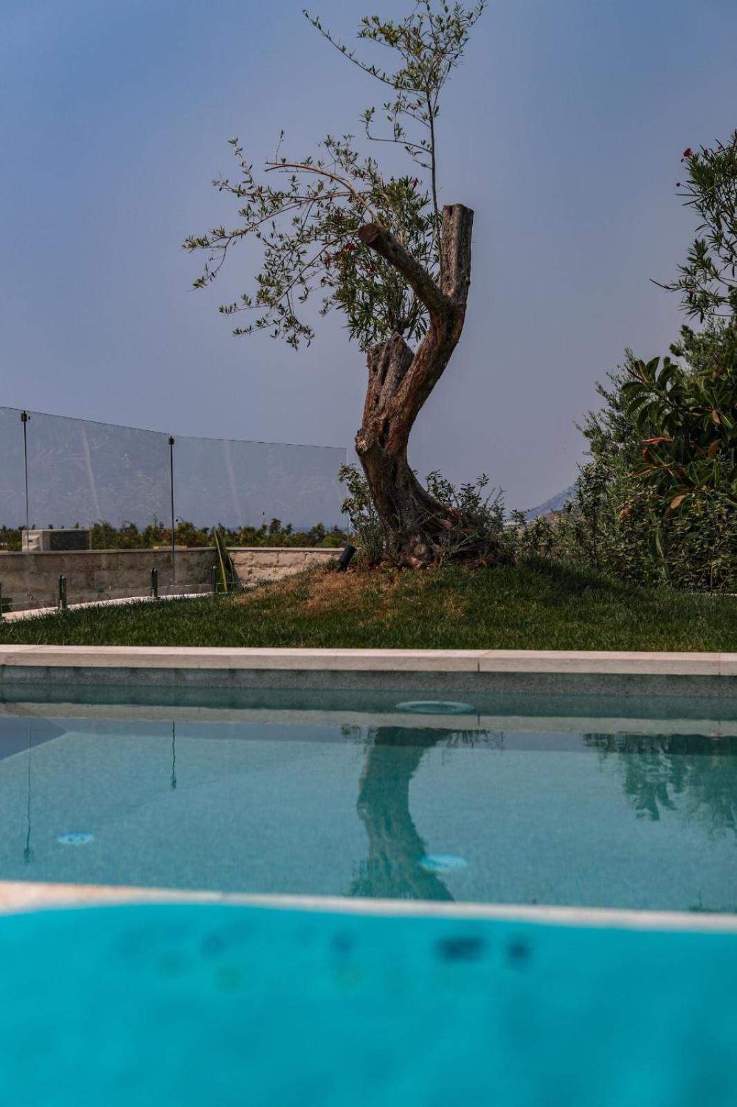 Drymades Inn Resort Dhermi Ngoại thất bức ảnh